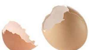 coji de oua - benefucii